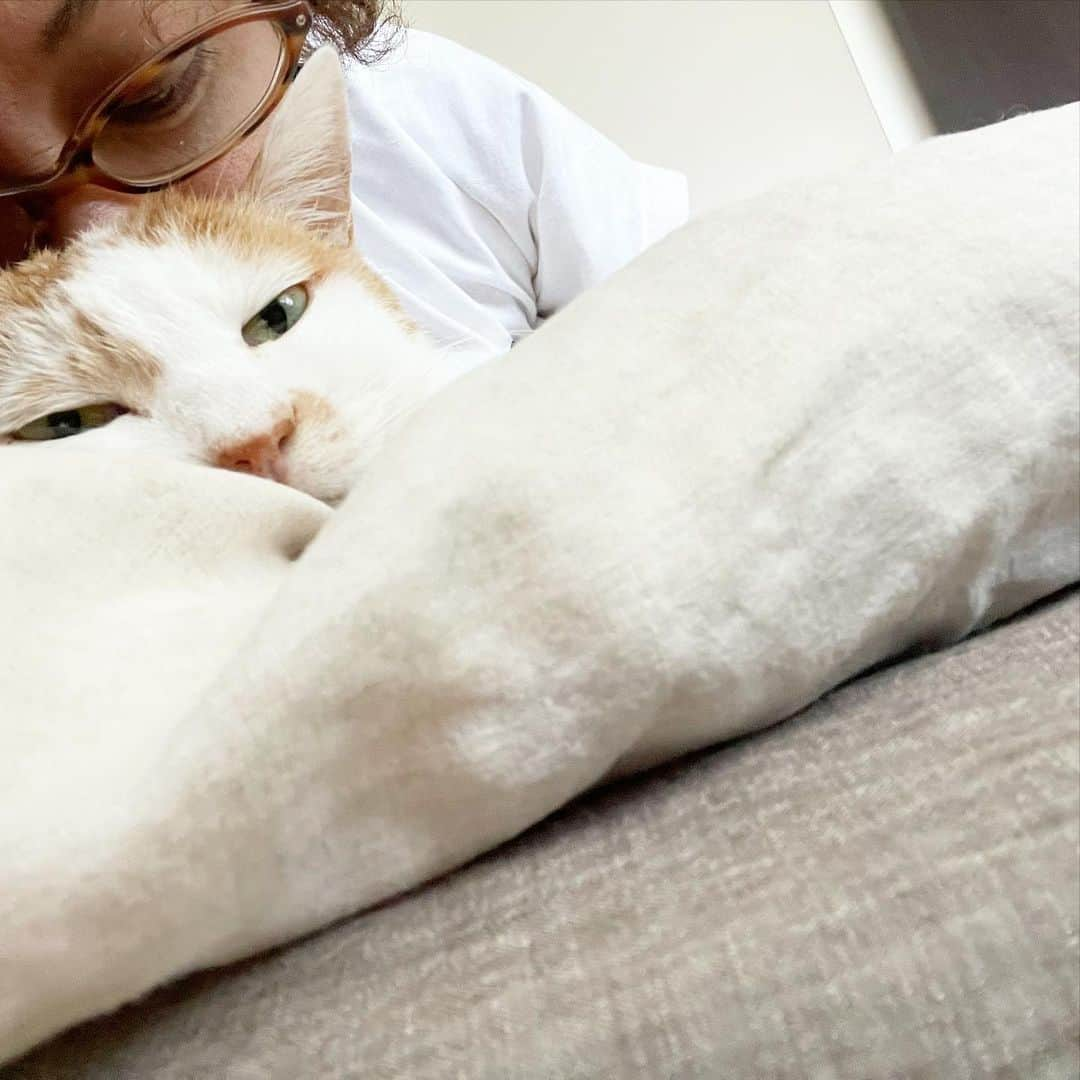 猫沢エミさんのインスタグラム写真 - (猫沢エミInstagram)「イオちゃんが元気っこだ。  朝7時を回ると「おはよう♡ママちゃん。朝ですよ。」と鳴きながらベッドに潜り込んでくる。　  マンションの公共部分の洗浄掃除の音がする。高圧シャワーの水の音。それから、ユピ坊が草を食べたらしく、ケッケと吐く音が聞こえる。  近ごろ深夜の猫時間もなるべく起きて、みなで過ごしているから完全に寝不足だけれど、今はこれでいい。  おはよう。空は青だよ。  #東京下町時間　#猫沢イオ　#イオの扁平上皮ガン日記」2月17日 10時32分 - necozawaemi