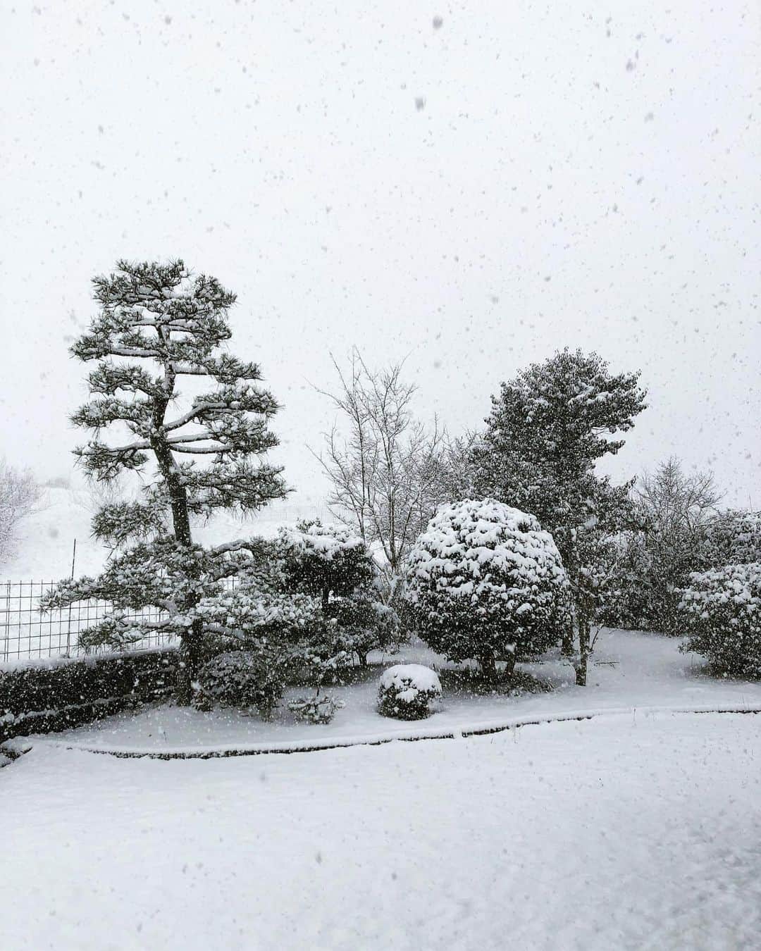 久保田夏菜さんのインスタグラム写真 - (久保田夏菜Instagram)「寒くなるとは聞いていたけど。  パラパラでもなく うっすらでもなく まさかのどっさり。  春はまだまだだったなー。  みなさま お気をつけて。  #雪　#安芸高田市　#春おあずけ　#田舎暮らし」2月17日 10時33分 - kanakubota0805