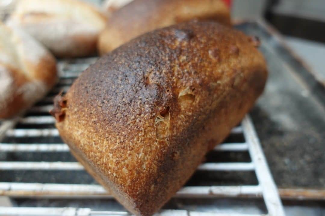 魔女菅原のグルメインスタ