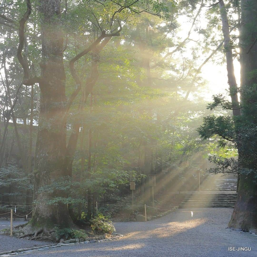 伊勢神宮さんのインスタグラム写真 - (伊勢神宮Instagram)「#伊勢神宮 #神宮 #神社 #心のふるさと #内宮 #参道 #光芒 #ISEJINGU #JINGU #SOUL_of_JAPAN #japan #jinja #shinto #naiku #sunbeam」2月17日 11時00分 - isejingu.official