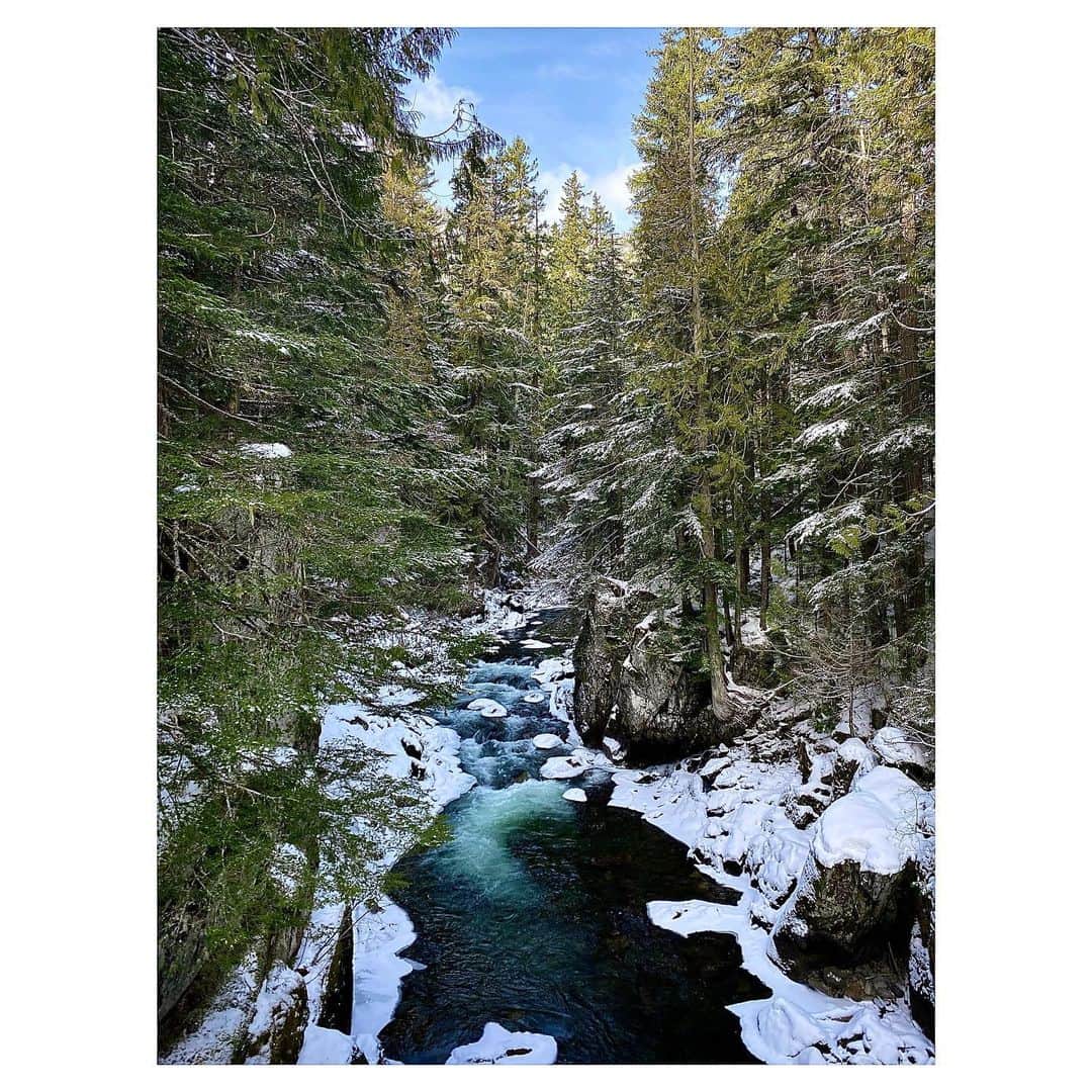 シャンテル・ヴァンサンテンのインスタグラム：「In tiny corners of nature my soul breathes deep... always grateful to get out and explore. #Whistler #Canada」