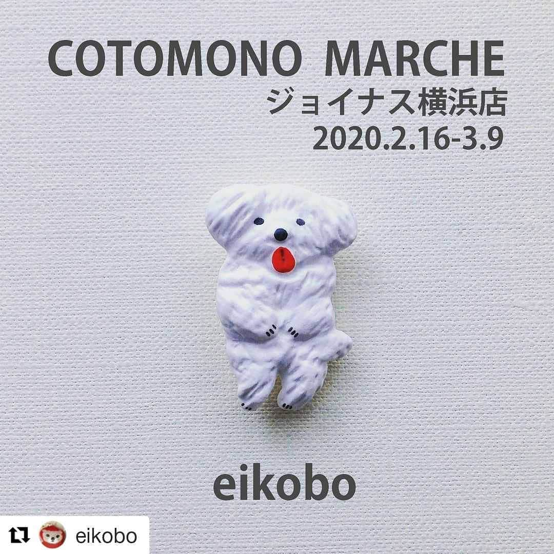 タンゲクンさんのインスタグラム写真 - (タンゲクンInstagram)「お近くの方は 是非！可愛いです」2月17日 12時01分 - etsukomiuze