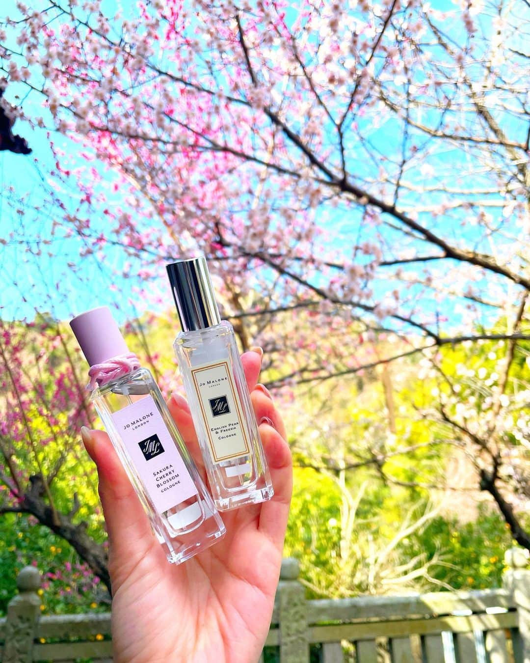 石井里奈さんのインスタグラム写真 - (石井里奈Instagram)「こんにちは🌸 . 先日の瀬戸内旅では今年初の桜が🌸✨ 桜を見ると気持ちが明るい気持ちになって、今コロナで大変だけど克服して明るい未来を感じることができました💕✨ . そんな桜をより感じることができる 2/19発売の @jomalonelondon サクラ チェリーブロッサムコロン🌸 このコロンだけでも春を感じる爽やかで希望に満ちた香りで大好きなんだけど、いつも使ってる他の @jomalonelondon のコロンとセント ペアリングしてもより楽しめるの！ . 私は @jomalonelondon の代表作とも言われる、イングリッシュ ペアー & フリージアを組み合わせてよりみずみずしくフルーティーな香りに💕✨ . 桜色のパッケージも可愛くて30mlサイズはポーチに入れて持ち運べるし、これから私の鞄の中身のマストアイテムになりそうです✌️ . ぜひ香りをセント ペアリングで楽しんでみてね🌸 . #サクラに願いを込める春 #ジョーマロンロンドン桜 #jomalonelondon #桜 #さくら #サクラ #cherryblossom #🌸 #春 #spring #匂いフェチ #香り #香りのある暮らし #春限定 #春コスメ #限定コスメ #お花見 #japanese #japanesebeauty #花見 #桜ポートレート #香水 #フレグランス #fragrance #フリージア #freesia #コロン #colone #pink #ピンク」2月17日 12時05分 - ri7tin1025