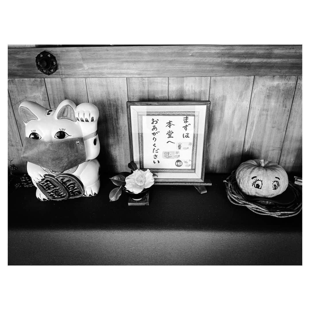 元木行哉のインスタグラム：「山口、猛吹雪です☃️  招き猫もマスク。  #staysafe #山口市 #元木行哉」