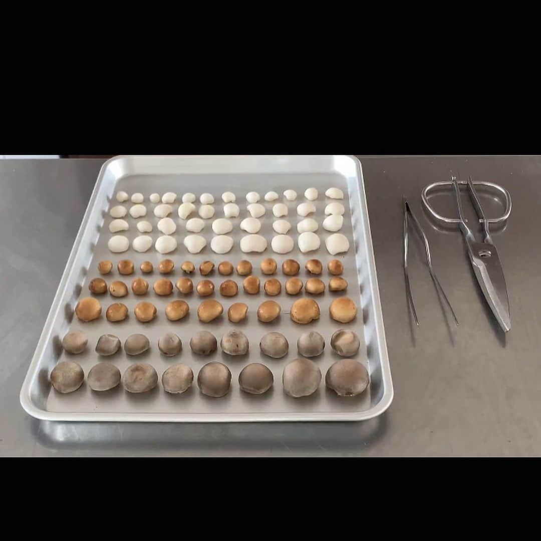 ShinTakedaさんのインスタグラム写真 - (ShinTakedaInstagram)「キノコの傘と柄は食感が違うので 分けて調理する。 デザイン面でも新しい表現が広がる。 #キノコ料理　#mushroom #デザイン　#分解」2月17日 12時31分 - pint_catering