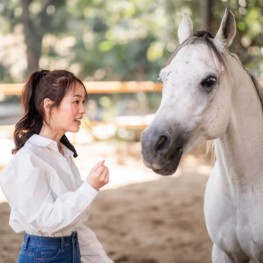 PIMTHAのインスタグラム：「งัยย กันดั้มม 🐴  📷 @ponygrapher」