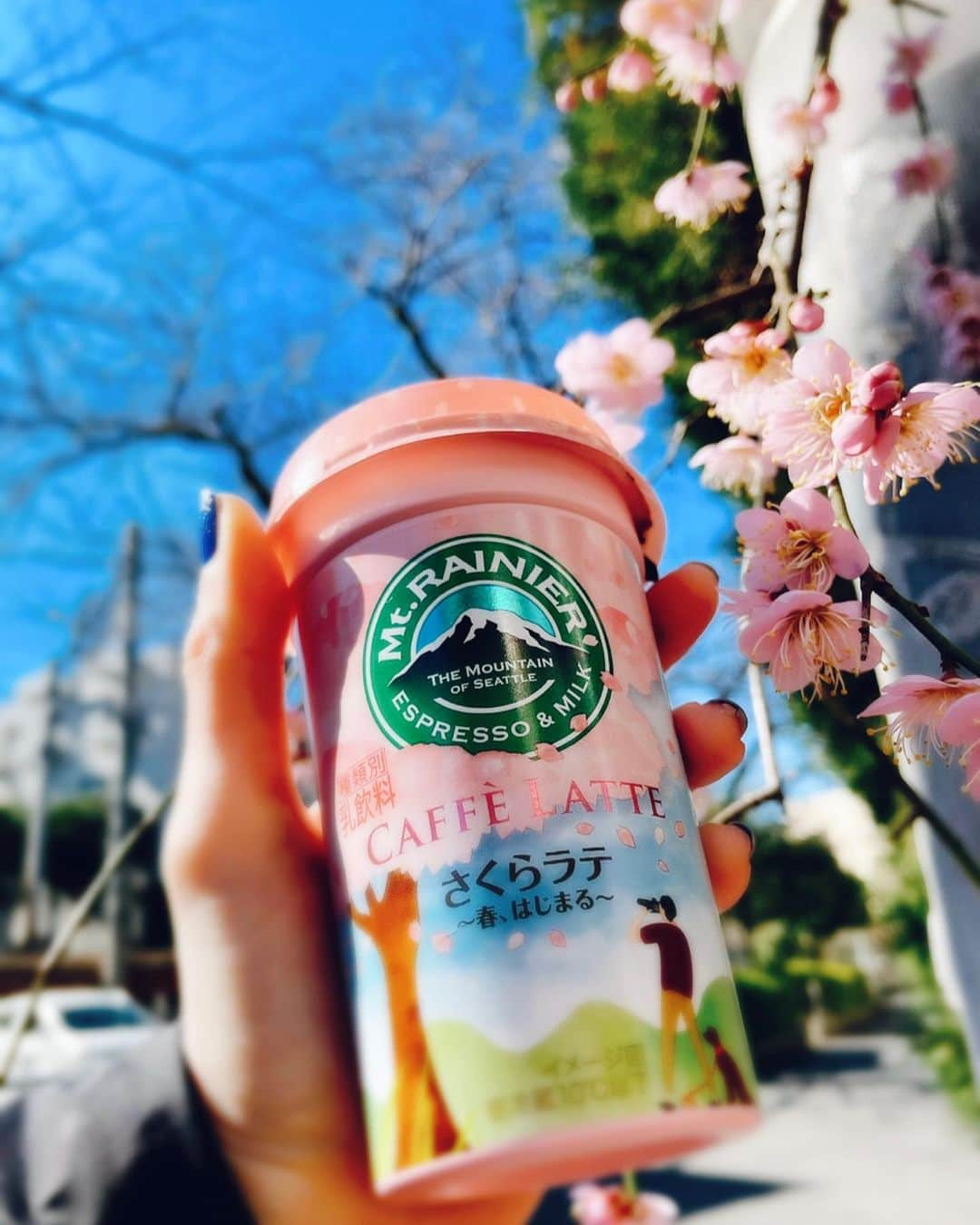 ナノさんのインスタグラム写真 - (ナノInstagram)「Spring like woah🌸  #springtime #sakura #pink」2月17日 12時47分 - nanonano_me