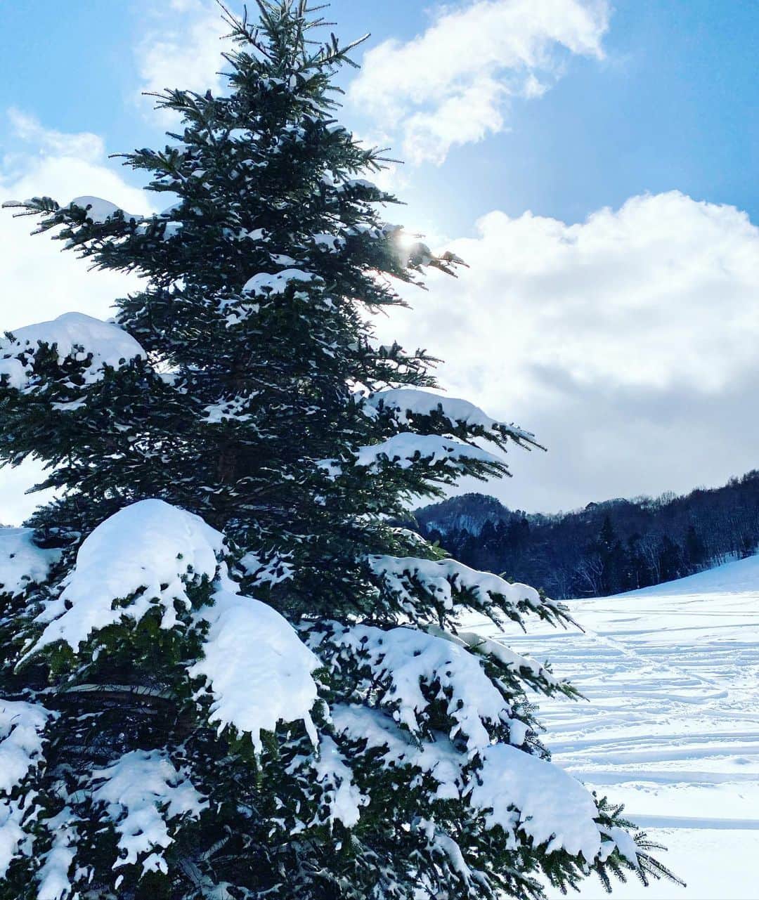 藤森マリナさんのインスタグラム写真 - (藤森マリナInstagram)「きちんと用意持って行った日☃️🤍 * * 今年は近郊日帰りでわりと行けてて 嬉しい ( ˇ◡ˇ)❄️ 来月もいく♪ マイボトル最高😉 朝6:00に熱いお茶いれて 雪の中放置して 帰りもまだ温かかった🍵 @mizulife_jp #mizuボトル * * * #snowboarding#snowboarder#snowboardgirl#flexjapan#ゴーグル#stellaviana#スノーボード#スノーボード女子#スノーボードウェア#スノボ女子#スノボ#ハチ北#アップ神鍋#奥神鍋スキー場#ニット帽女子#カラーエクステ#dse#ミズボトル#mymizubottle#マイボトル」2月17日 12時57分 - maaarina0806