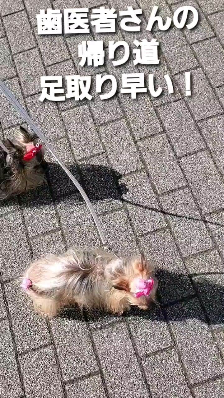 武東由美のインスタグラム