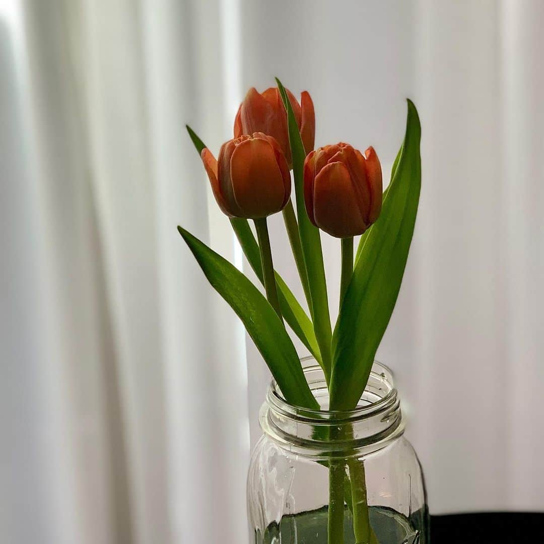 熊井友理奈さんのインスタグラム写真 - (熊井友理奈Instagram)「_  かわいい🌷  #花のある暮らし #チューリップ #tulip#spring」2月17日 13時22分 - kumai_yurina
