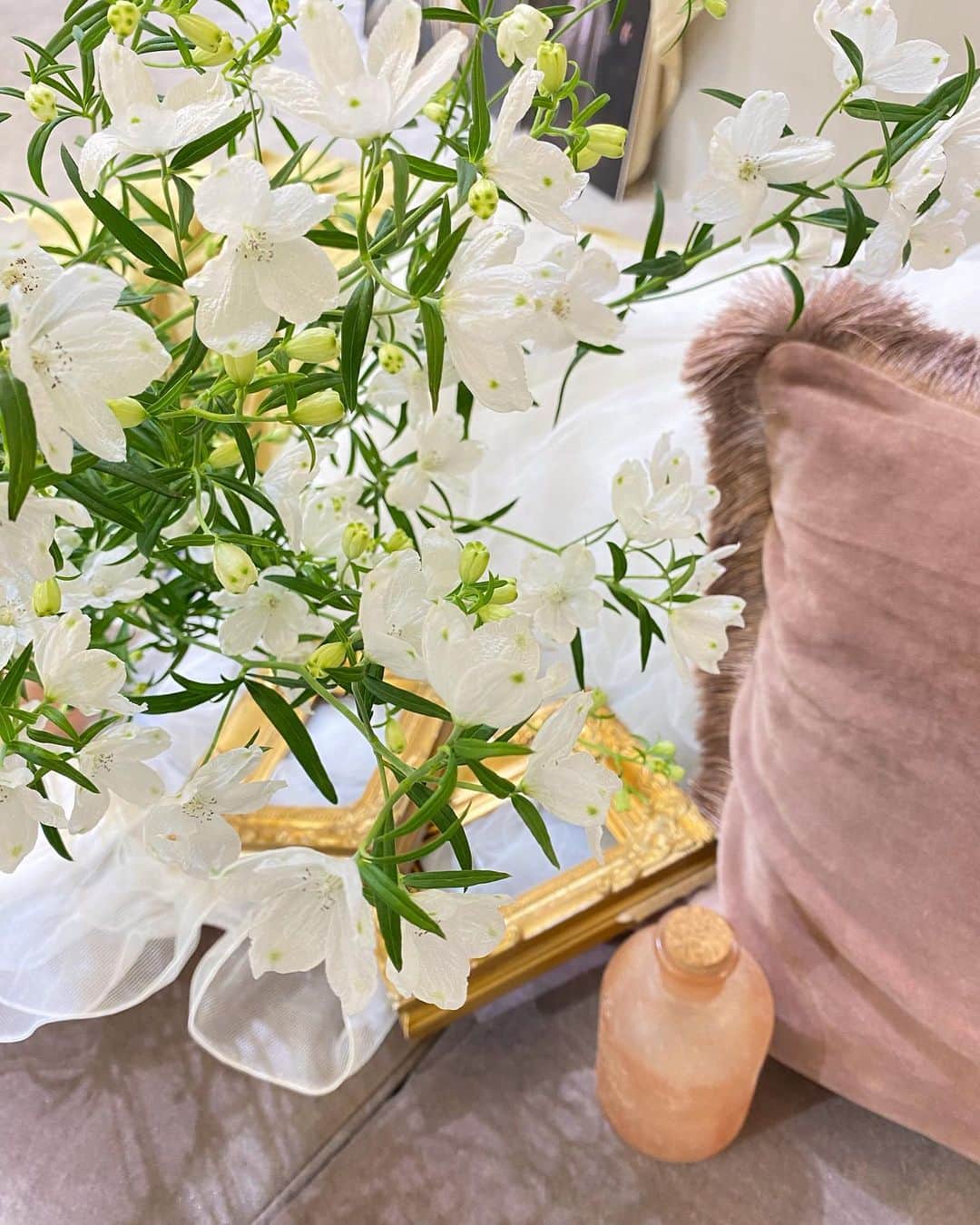 アルマリアンFUKUOKA　公式さんのインスタグラム写真 - (アルマリアンFUKUOKA　公式Instagram)「🌷🌷 【 #今週のお花 】🌷🌷  品種:デルフィニウム 花言葉:あなたは幸福をふりまく ㅤㅤㅤㅤㅤㅤㅤㅤㅤㅤㅤㅤㅤ ブルーがスタンダードですが 今回はキレイなホワイトが入荷しました ㅤㅤㅤㅤㅤㅤㅤㅤㅤㅤㅤㅤㅤ デルフィニウムの和名は【オオヒエンソウ】といい、 【飛燕（ヒエン）】とは“ツバメ”を表します  大空を羽ばたくツバメの姿に似ていることから “オオヒエンソウ”と名付けられました ㅤㅤㅤㅤㅤㅤㅤㅤㅤㅤㅤㅤㅤ 透明感のある繊細な花弁が軽やかで 柔らかなチュールやベールを纏った 春先のプレ花嫁様にぴったりです👰🏻🤍  #ラグナプリエ ではお客様ひとりひとりに デッサンを描き、オーダーメイド製作をしております。  特別な日には、特別な意味のあるものを。  　　ㅤㅤㅤㅤㅤㅤㅤㅤㅤㅤㅤㅤ …━━━━━━━━━━… ㅤㅤㅤㅤㅤㅤㅤㅤㅤㅤㅤㅤㅤ 　ブライダルフェアまたは 　オンライン相談会のご予約は 　プロフィールのURLより 　お待ちしております…♡ ㅤㅤㅤㅤㅤㅤㅤㅤㅤㅤㅤㅤㅤ …━━━━━━━━━━…  ㅤㅤㅤㅤㅤㅤㅤㅤㅤㅤㅤㅤㅤㅤㅤㅤㅤㅤㅤㅤㅤㅤㅤㅤㅤㅤ #almalienfukuoka  #アルマリアン福岡 #ウェディング #新生活準備 #令和婚 #2021春婚 #2021秋婚 #結婚式決行 #結婚式準備記録 #絆wedding #プレ花嫁さんと繋がりたい  #福岡花嫁 #美人花嫁図鑑 #エスクリ #アルマリ花嫁 #ウェディングブーケ #前撮りポーズ #結婚式 #福岡 #天神 #前撮り #weddingbouquet #お花のある暮らし #披露宴 #ウェディングフォト #marryxoxo #お花のある生活 #お花の定期便 　ㅤㅤㅤㅤㅤㅤㅤㅤㅤㅤㅤㅤㅤ」2月17日 13時57分 - almalien_fukuoka