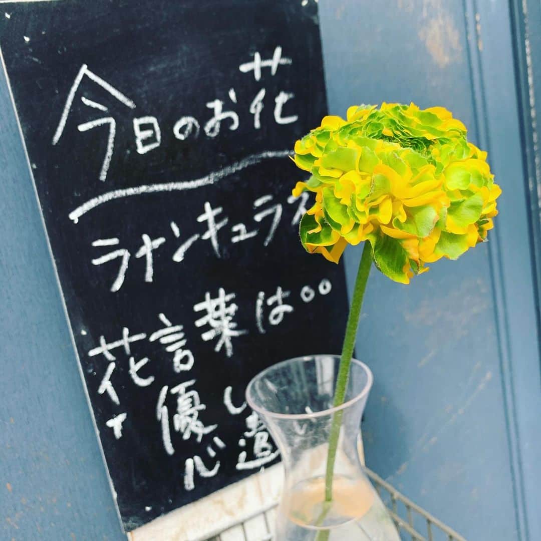 常盤よしこさんのインスタグラム写真 - (常盤よしこInstagram)「花束を買いに いつものお花屋さんへ 大好きなミモザとスターチスいっぱい❤️ ラナンキュラスも❤️  #母の誕生日 #ミモザ #スターチス #ラナンキュラス #熊本花屋 #ブルーグレイ」2月17日 14時43分 - yoshiko.tokiwa