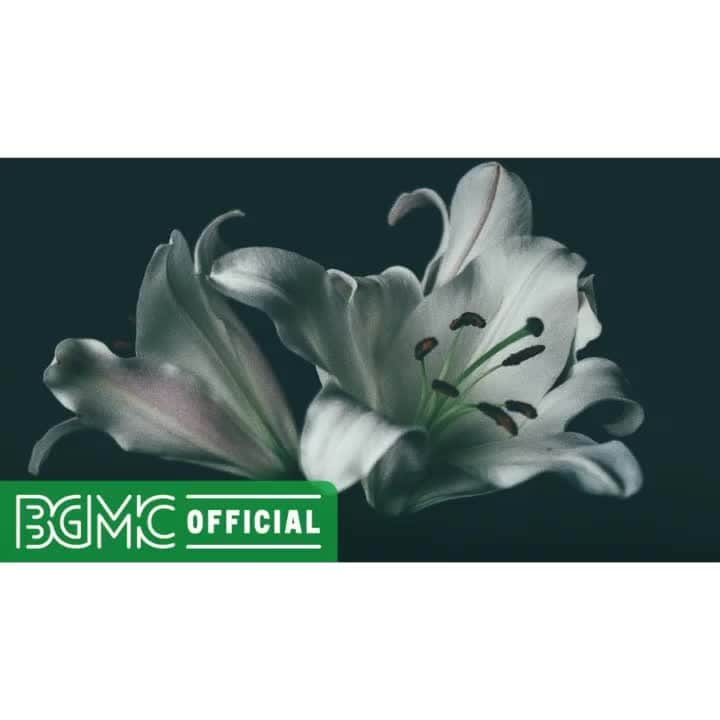 Cafe Music BGM channelのインスタグラム