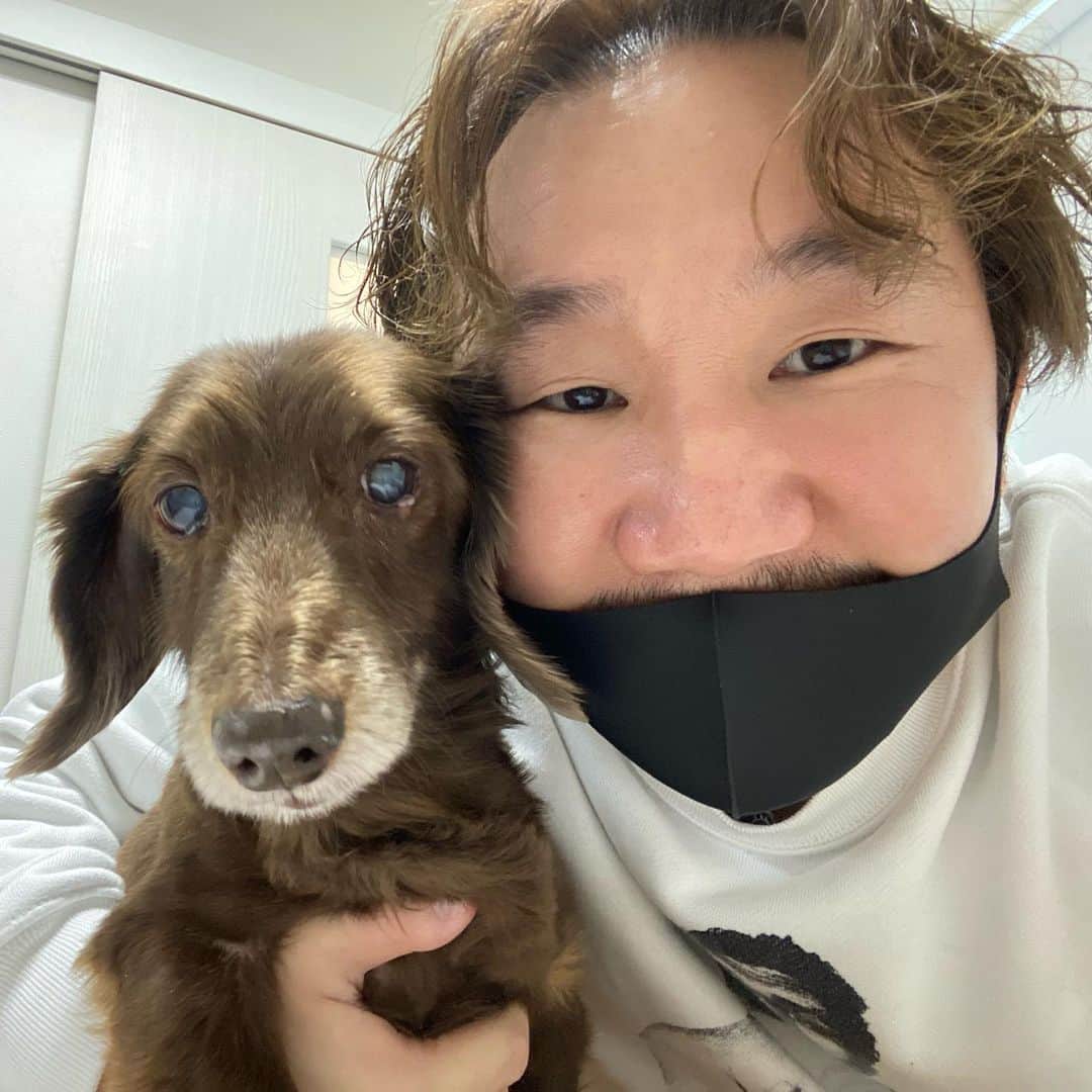 植田朝日のインスタグラム：「🐶🐶🐶﻿ ﻿ 愛犬ダニーロくんの治療に付き合って来たぜ‼️﻿ ﻿ たくさんたくさん病気をしてるのに頑張ってるダニーロくんはハリとお灸に通って7年目です。﻿ ﻿ 治療後に焼鳥を食べるのがルーティーンで、大将も特別にオマケしてくれます。﻿ ﻿ これからも長生きしろよ、相棒‼️﻿ ﻿ YNWA﻿ ﻿ #愛犬 #ダニーロ軍団」