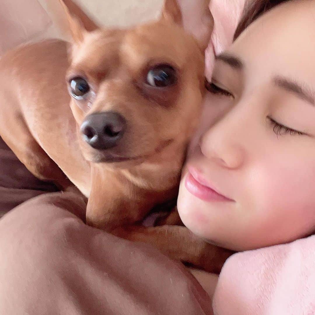 Arisa Nanaseさんのインスタグラム写真 - (Arisa NanaseInstagram)「毎朝こんなん感じで起こされます😍全然布団から出ないと、噛みかけのガムを顔の上に置いてくれます。笑　さらに二度寝をしていると、呼吸確認でペロッと舐めてくれます。。 これが #犬がいる生活 ❤️ 幸せ笑　  #ミニチュアピンシャー　#犬好き　#ミニピン #目覚め　#モーニングルーティーン　#バスローブ」2月17日 15時43分 - arisa.nanase