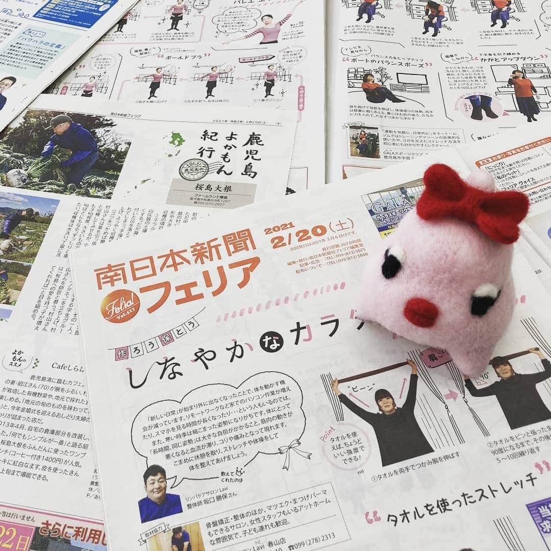 南日本新聞フェリアさんのインスタグラム写真 - (南日本新聞フェリアInstagram)「みなさーん、寒くて体が凝り固まっていませんか？？  フェリア2／20発行517号の特集は、  作ろう保とう✨しなやかなカラダ タオルを使って気軽にできるストレッチ、ながらでできる動き、バレエエクササイズを紹介しています。 たまには自分の体をいたわって💕  そして、鹿児島レブナイズの、選手のプライベートをのぞき見👀 『レブラブトーク』のコーナーもスタート❣️ WEBでもトーク公開予定なので、ぜひご覧になって😊  よかもん紀行は桜島大根。  大きなビジュアルだけど、繊細で甘〜い鹿児島の特産品を取材しました👨‍🌾  フェリア2／20発行号は順次配布中です❗  #ストレッチ #ダイエット #運動 #鹿児島レブナイズ #桜島大根 #南日本新聞 #フェリア #勝手に鹿児島大使 #ぬい撮り #ふーちゃん #felia #鹿児島 #kagoshima」2月17日 16時57分 - felia_insta