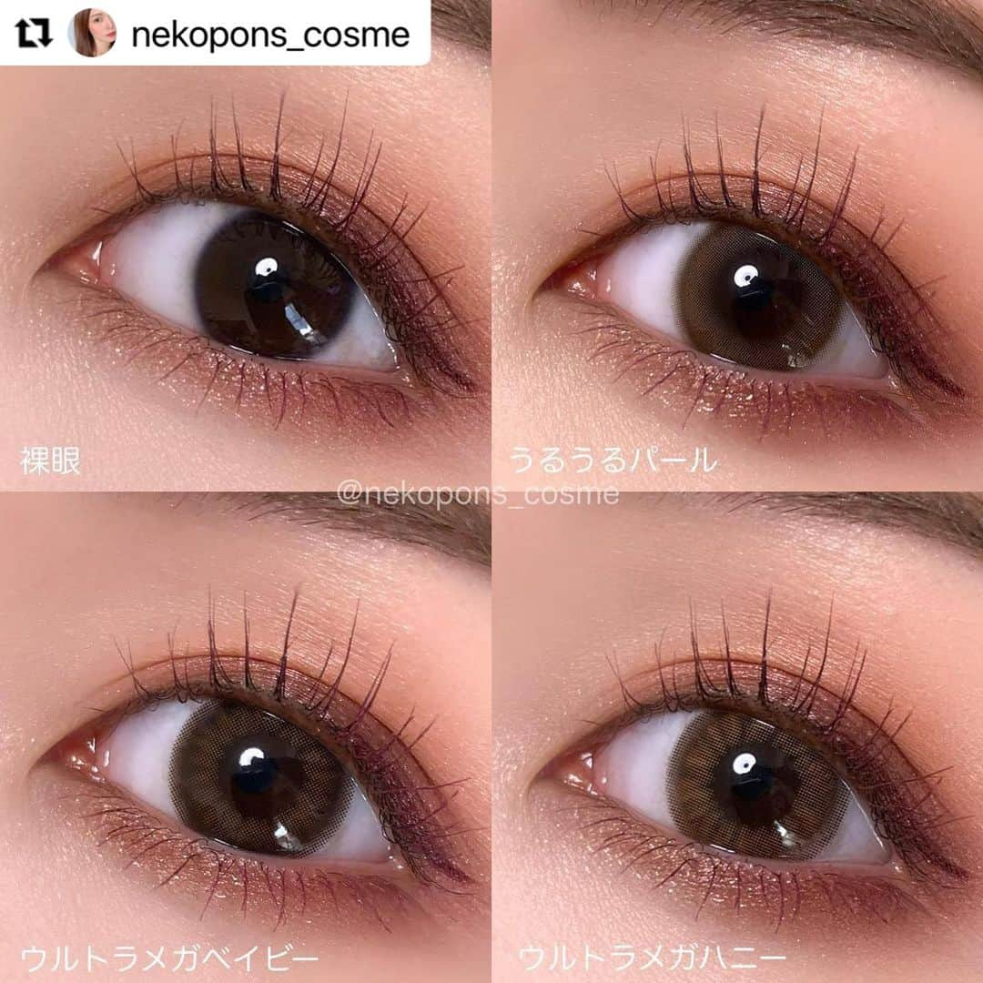 モテビューティー公式さんのインスタグラム写真 - (モテビューティー公式Instagram)「#Repost @nekopons_cosme with @make_repost ・・・ 【待望の1DAYでた♡超モテコンワンデー】 . . ✔️#モテコン @motecon_official ▫️#超モテコンウルトラワンデー 　うるうるパール / ウルトラメガベイビー / ウルトラメガハニー . . なえなのちゃんプロデュースの超モテコンウルトラシリーズ🧸 待望のワンデーが出た！！！ ということで早速レポします♡ . . 🤍#うるうるパール  ☑︎DIA 14.2mm ☑︎BC 8.6mm ☑︎着色直径 13.6mm ☑︎1DAY  マンスリーの時からめーっちゃ好きなうるうるパール🥺💓 色素薄い系と盛れるを掛け合わせた最強カラコンです💋 ナチュラルで使いやすい👏 ちゅるんとした透明感あふれる瞳になれます😚 . . 🤍#ウルトラメガベイビー  ☑︎DIA 14.5mm ☑︎BC 8.6mm ☑︎着色直径 14.0mm ☑︎1DAY  着色直径大きめだけど透け感があるデザインなので宇宙人ぽくならない😳❤️ グラデーションになっているのでのっぺりせず立体的な瞳に♡ 甘くて可愛い印象になれます🌸 とにかく盛りたい人はコレがオススメです😘 . . 🤍#ウルトラメガハニー  ☑︎DIA 14.5mm ☑︎BC 8.6mm ☑︎着色直径 14.0mm ☑︎1DAY  デザインだけ見ると派手系かなと思っていましたが、着けるとナチュラルに可愛い💓 はちみつのようなカラーで愛されEYEに🧸💋 こちらも透け感のあるデザインで圧迫感がないのが嬉しいです♡ . . @colorcon_plus さんより頂きました💘 ぜひぜひチェックしてみてください🙏 . . #超モテコン #超Motecon #Motecon #モテコンしか勝たん #カラコンプラス #カラプラ #カラコン #超十代 #なえなの #ドンキ #ドンキホーテ #カラコン着画 #カラコン通販 #カラコンレポ #カラコンレビュー #ちゅるんカラコン #ハーフカラコン」2月17日 16時59分 - motecon_official