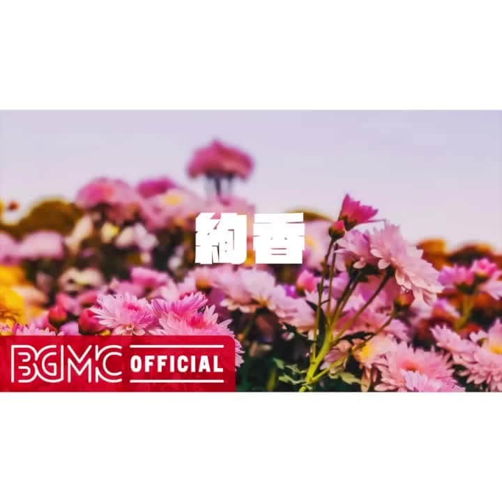 Cafe Music BGM channelのインスタグラム