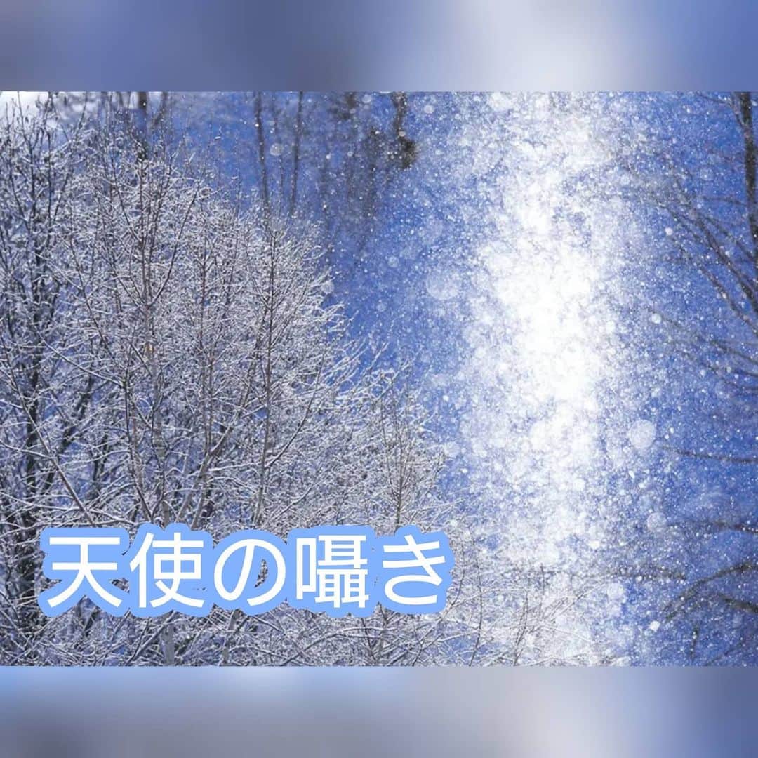 松野行秀さんのインスタグラム写真 - (松野行秀Instagram)「· 1987年の今日、2月17日に北海道の幌加内町母子里で、何と観測史上初の最低気温マイナス41.2度が観測されたということです❄️ · · · これに因んで、同町がこの日を「天使の囁きの日」と制定、毎年この時期には母子里の方々が企画した幻想的で美しい世界を体験するイベント「天使の囁きを聞く会」が開催されているということです。  · · · 『天使の囁き』・・・とてもおロマンティックなネーミングですが、天使の囁きとは、実はダイヤモンドダストのことをいうそうです。  · · · ダイヤモンドダスト(細氷)とは、冷寒地で晴れた日の朝などに大気中の水蒸気が昇華して出来たごく小さな氷晶のことですが、ダイヤモンドダストが発生する為には気温や湿度や風等、様々な条件が調わなければならないということです。  · · · ちなみに、気温はマイナス10度以下が発生条件ということで、北海道の旭川などが典型的な観測地域となっているということです。  · · · ダイヤモンドダストは、まさに光と気温と湿度が織りなす氷の芸術なのです✨ · #天使の囁き #ダイヤモンドダスト #芸術」2月17日 17時29分 - g.matsuno