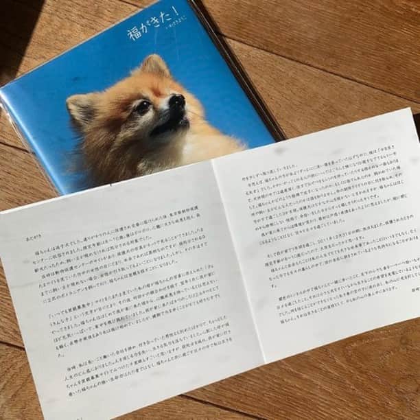 Photobackさんのインスタグラム写真 - (PhotobackInstagram)「本日ご紹介する作品は、 iwasakiyoko (@tanabota_books)さまの一冊🐶 10年前に亡くなってしまった 愛犬との大切な想い出を 綴られた一冊です。 . 『10年前に亡くなった 保護犬「福」のことを 何か形にしたいと ずっと思っていましたが、 気持ちの整理が できない部分も あったため、 文章を完成させる ことができず 気がつけば 10年もかかってしまいました。 . 人生のどん底にいた私の元へ 殺処分を逃れ、 保健所からやってきた「福」。 彼が教えてくれたこと、 導いてくれたことを ずっと大切にしたく、 この度〈本〉という形に することができました。 . 可視化できる本として 綴じたことで、 私以外の存在が想いを 引き受けてくれたような、 不思議な気持ちになりました。  自分の心の中にだけに 留めておく良さもありますが、 外に出したことで、 私の気持ちも 軽くなったような気がします。』 と、iwasakiyoko (@tanabota_books)さま📒 . 表紙から最後のページまで すべてのページに 「福」ちゃんとの 想い出がメッセージと ともに綴られている 胸が熱くなる作品です✉️ . 今回の作品では ROUGHの36ページが 使われています🌿 いろいろな画角の写真が ある場合は、 ROUGHの正方形サイズが すっきり統一感を 持たせてくれますよ🙋‍♀️ . iwasakiyoko (@tanabota_books)さま、 今回は素敵な作品を ありがとうございました🎁 . #photoback #フォトバック #フォトアルバム #フォトブック #フォトブックづくり #アルバム #アルバム作成 #photo #写真 #photoback作品紹介2021 #ROUGH #絵本 #愛犬 #保護犬 #捨て犬 #福ちゃん #メッセージ #思い出 #想い出」2月17日 18時00分 - photoback.jp