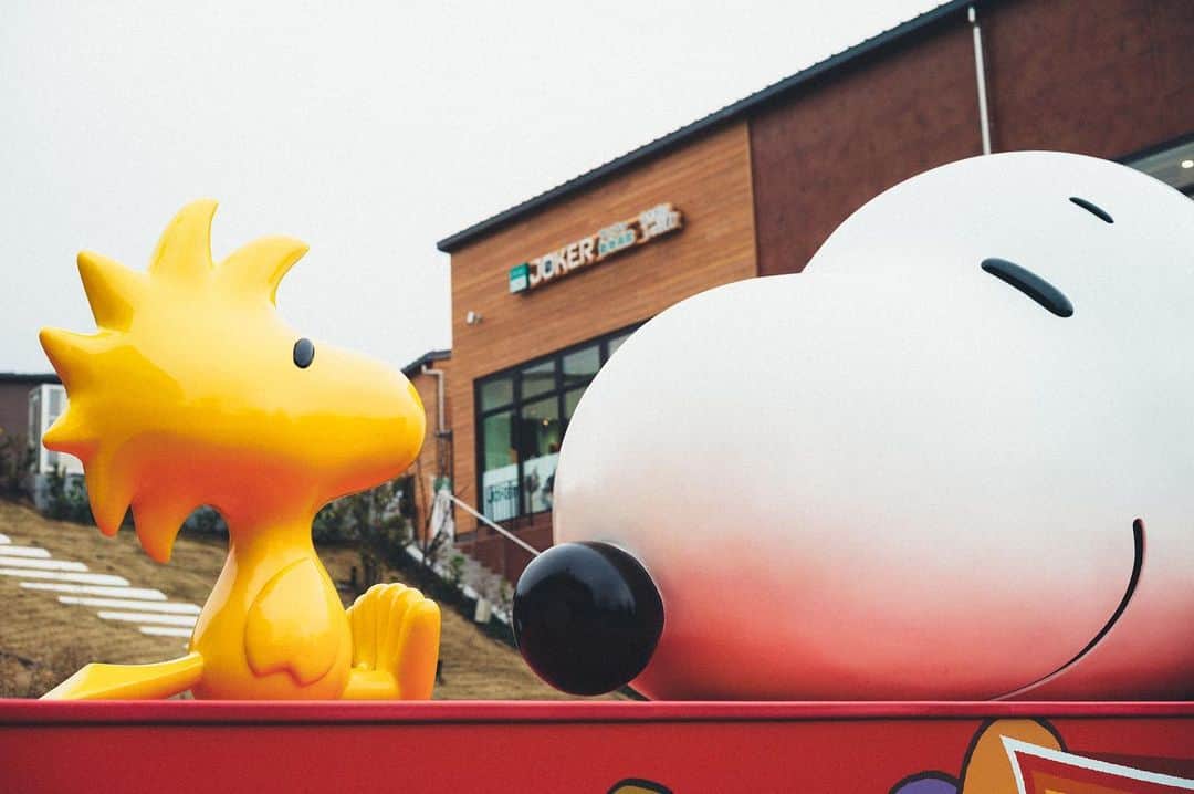 SNOOPY MUSEUM TOKYOのインスタグラム：「#snoopymuseumtokyo #schulzmuseum #snoopy #スヌーピーミュージアム #スヌーピー #peanuts70」