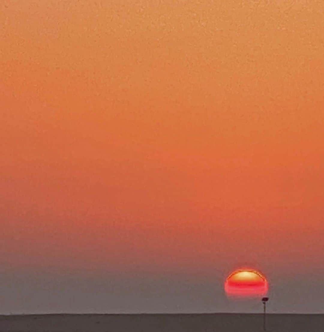ロッティー・トムリンソンのインスタグラム：「favourite colour 🧡」