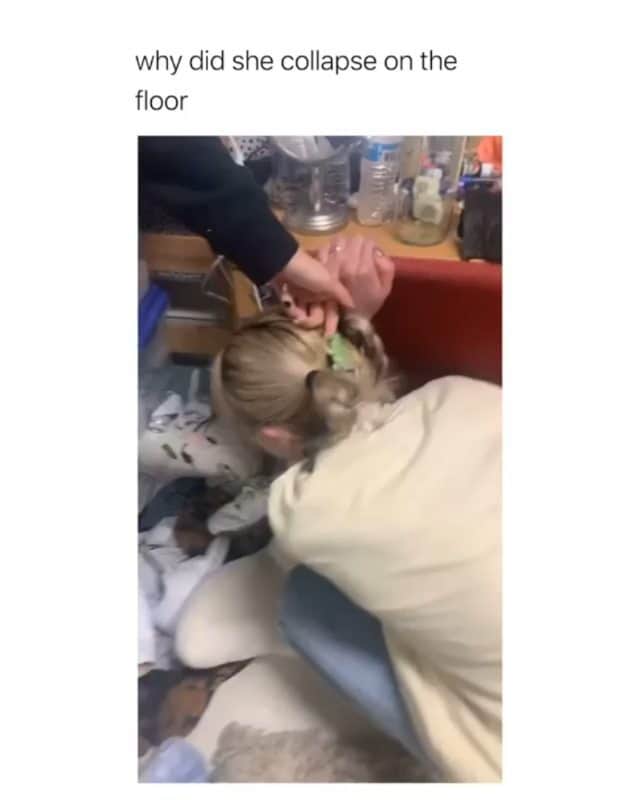 Funny Postsのインスタグラム：「••••••••••• 😂 They made him ink 💬 Video by: @sienbauman & @sarah.deary 🎥 Double tap for more videos!」