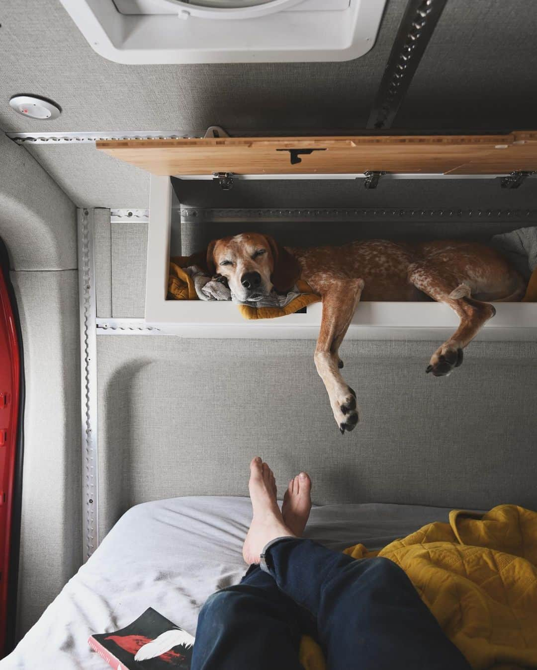 マディのインスタグラム：「Top bunk ✨」