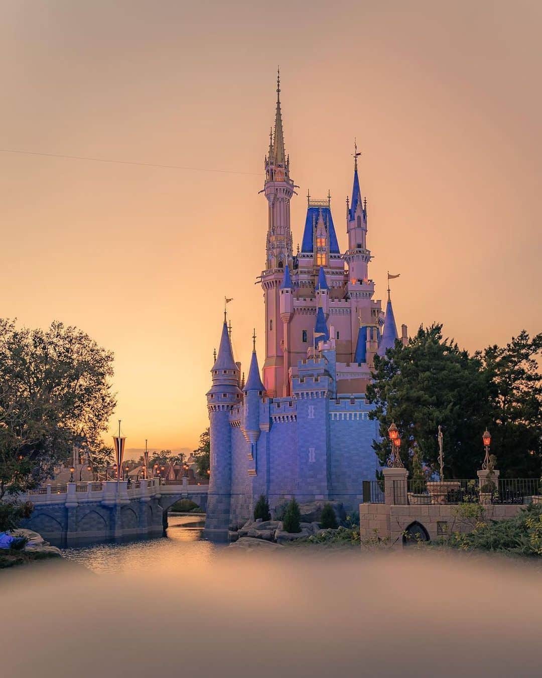 Walt Disney Worldのインスタグラム：「It's the view for us 😍✨ (📷: @mainstreetlightroom)」