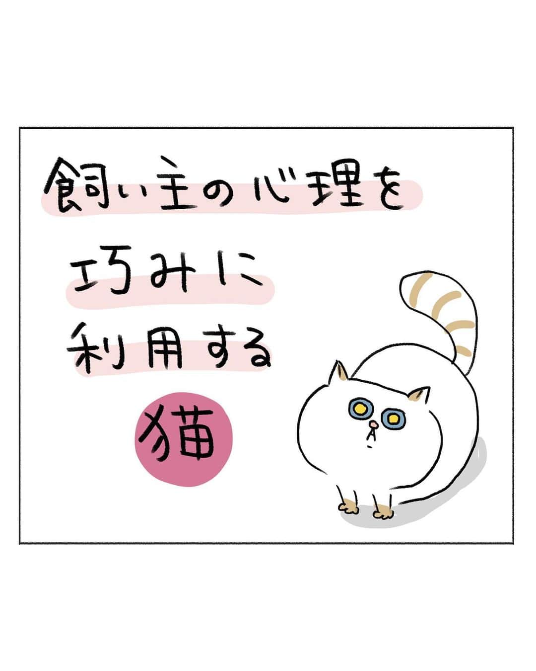 うえだしろこのインスタグラム：「普段何も主張しないけど、ごはんとおやつに関してはちゃんと主張する猫ムサシ。 ・ 日がな一日置き物みたいに寝てるから、こういう事あるとちょっと嬉しかったりする。 ・ ・ ブログ更新してます⭐️ ・ 「言葉のチョイスが絶妙な５歳児」 ・  ストーリーズからぜひみてね〜😍 ・ ・ #育児漫画 #育児日記 #育児絵日記 #コミックエッセイ #ライブドアインスタブロガー」