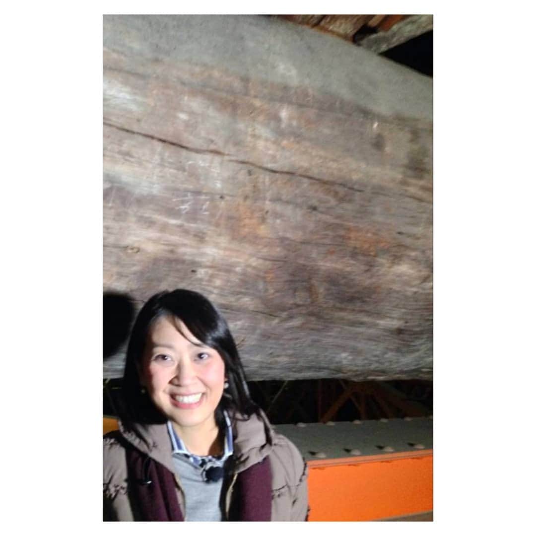 加藤沙知さんのインスタグラム写真 - (加藤沙知Instagram)「約5年前の私。  奈良県 東大寺 の大仏殿の天井裏にて。  大仏殿の屋根を支える2本の虹梁(こうりょう)=梁は、宮崎県(日向国)から運ばれたアカマツです。  宮崎から奈良まで、10数万人が約9ヶ月をかけて運搬したそうです。人々の想いを感じました。  【約5年前のぶらり旅を見て】 大仏さまにお会いしたくなりました。 願うばかりではなりませんが、新型コロナの終息を願いたいです。  当時の人々も、疫病退散や豊作などを大仏さまに願いたいという思いで、建立に協力したんだろうな。時代が変わっても、人の想い・考え方は、あまり変わらないな～と感じました。  #東大寺#大仏殿#天井裏 #虹梁#梁 #日向国#白鳥神社 から #アカマツ# #わけもん#藤岡弘、宮崎ぶらり旅  #前髪がたむけんさん風 #昔川島アナウンサーによく指摘されていました笑 #さっちゃんたむってるよ笑 #懐かしいですよねめぐさん笑」2月17日 20時02分 - mrt.kato