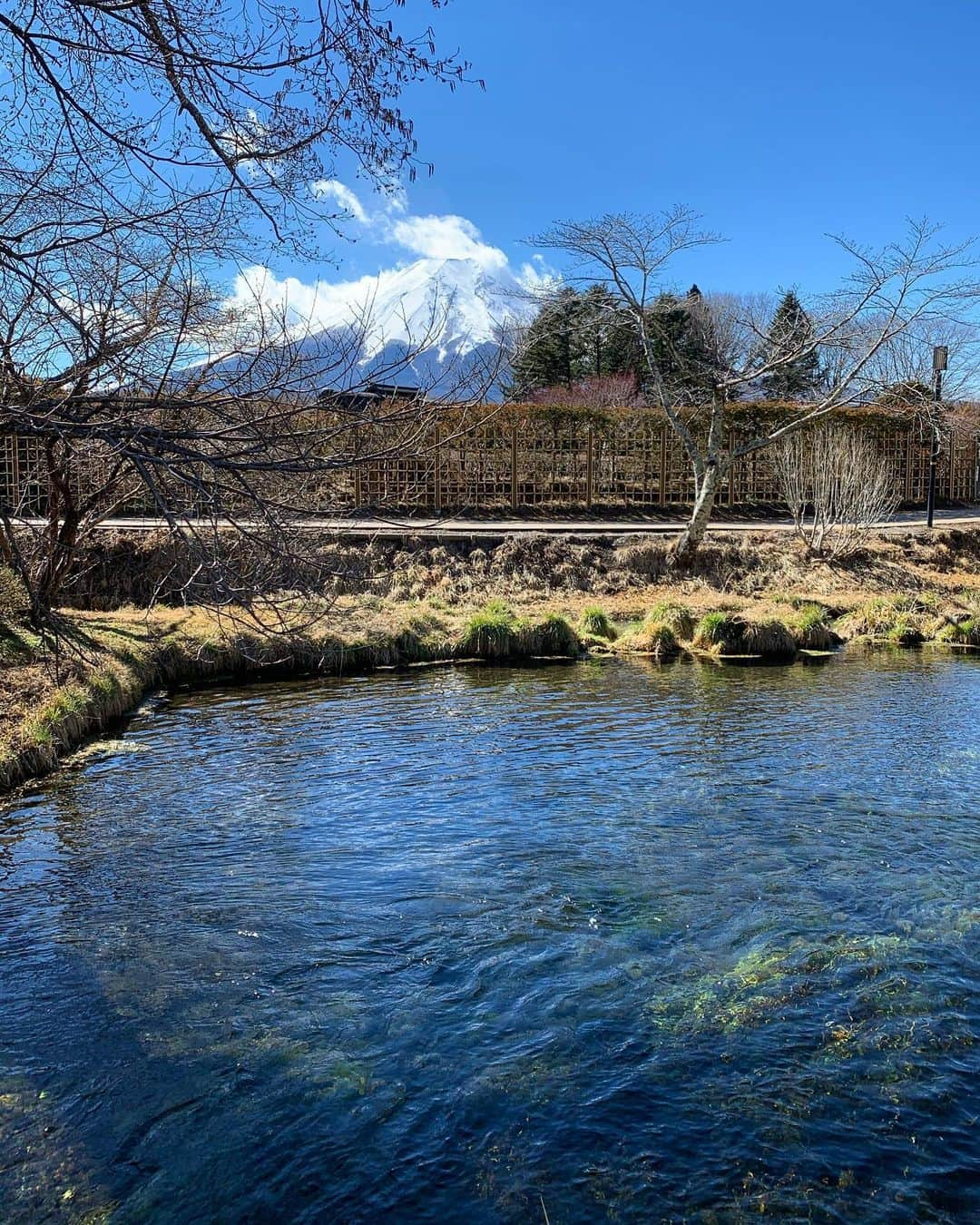 小田飛鳥さんのインスタグラム写真 - (小田飛鳥Instagram)「#忍野八海 富士山に常に見守られ、足元の池に吸い込まれそう…… 不思議な気持ちになりました #mtfuji #富士山 #山梨 #osinohakkai #忍野八海今なら穴場です」2月17日 20時38分 - asuka_oda_0320