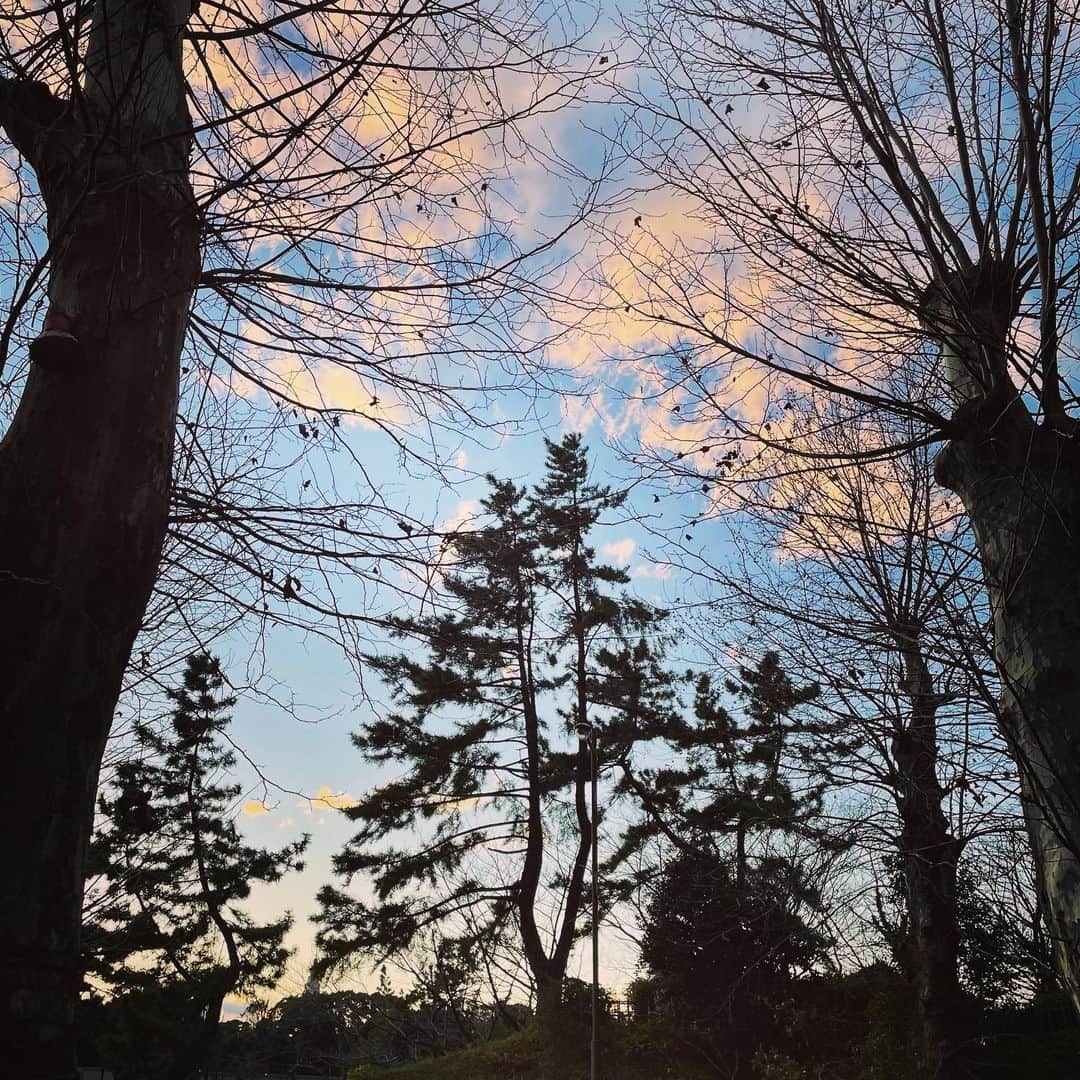 村田沙耶香さんのインスタグラム写真 - (村田沙耶香Instagram)「仕事の用事が終わったとき、﻿ ちょうど空の色が綺麗な時間でした。」2月17日 20時41分 - sayaka_murata_