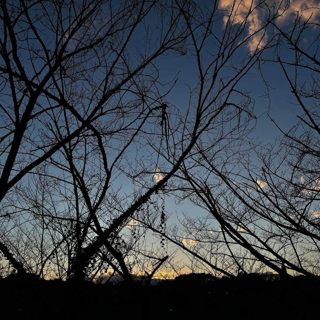 村田沙耶香のインスタグラム：「仕事の用事が終わったとき、﻿ ちょうど空の色が綺麗な時間でした。」