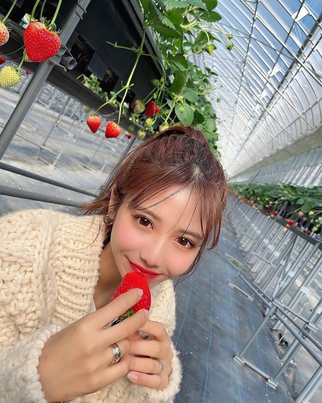 伊藤莉子さんのインスタグラム写真 - (伊藤莉子Instagram)「． ． ． 楽しみにしてたいちご狩り🍓 ． 姫路市にある、 【ゆめさき苺ハウス】ってところに 行ってきたんやけどめっちゃ良かった👌🏻 30分間やけど、4種類のいちご食べ放題で お腹いっぱいすぎるほど食べたで🐷w ． ． 関西ではかなり上位で人気やから 気になる方は是非調べてみてね🤍😎 ． 私はいままで行ったいちご狩りの中で 一番よかった\(◡̈)/♥♡ ． ． #いちご狩り #いちご #苺 #食べ放題 #姫路市 #ゆめさき苺ハウス #あきひめ #紅ほっぺ #かおり野 #よつぼし #春服 #伊藤莉子 ．」2月17日 20時49分 - krk_818