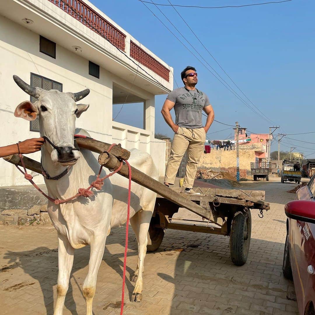 Gaurav Tanejaのインスタグラム：「Studo mein Studd... shri shri Taneja... Pehle 2 attempt mein ‘bail’ se maar khane ke baad... finally ek insta pic lene mein  safalta haansil ki... ab aapke likes auur comments ka intezaar karte hue..」