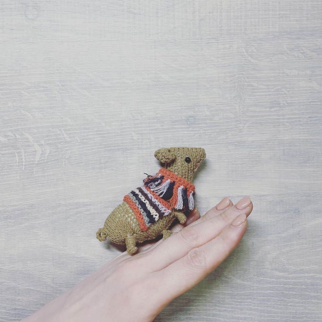 村田沙耶香さんのインスタグラム写真 - (村田沙耶香Instagram)「ずっと前に、﻿ お世話になった方から頂いた指輪です。﻿」2月17日 20時54分 - sayaka_murata_