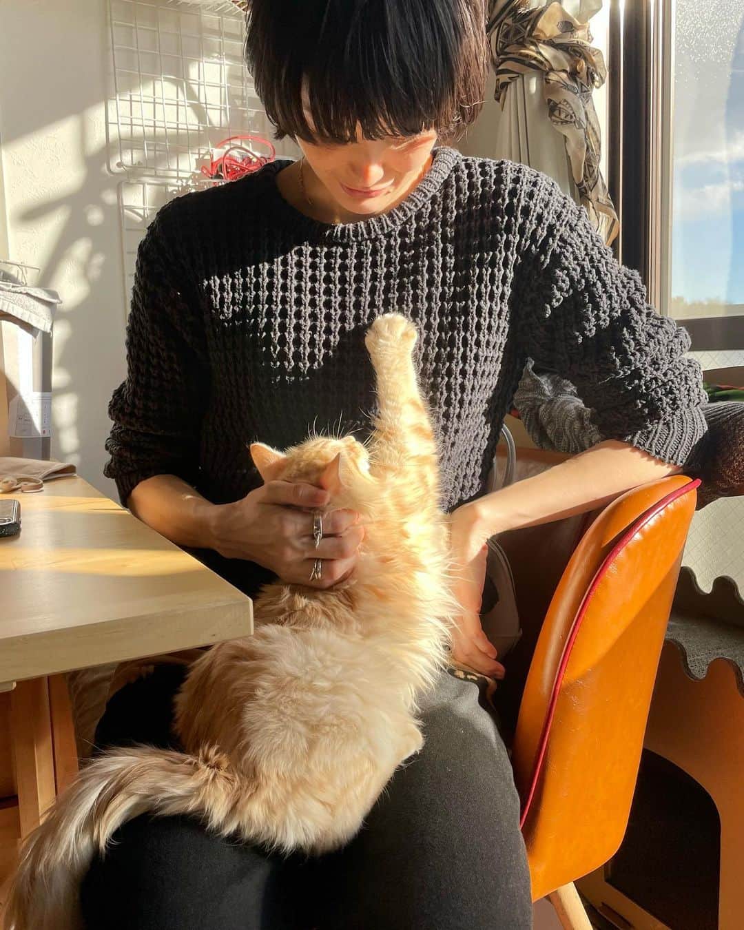 鈴木亜美さんのインスタグラム写真 - (鈴木亜美Instagram)「最高の休日だった。 いや、可愛すぎん？ @junkohm 's cat🐱❤️ . . #可愛すぎる猫 #いい休日でした  #mydayoff #goodday」2月17日 20時55分 - amisuzuki001