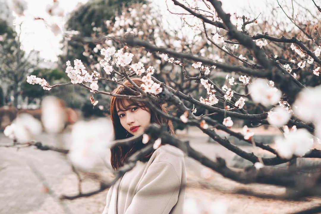 細沼紗花さんのインスタグラム写真 - (細沼紗花Instagram)「スモモの花はとても可愛い 桜みたいです🌸」2月17日 20時59分 - sayaka_hosonuma