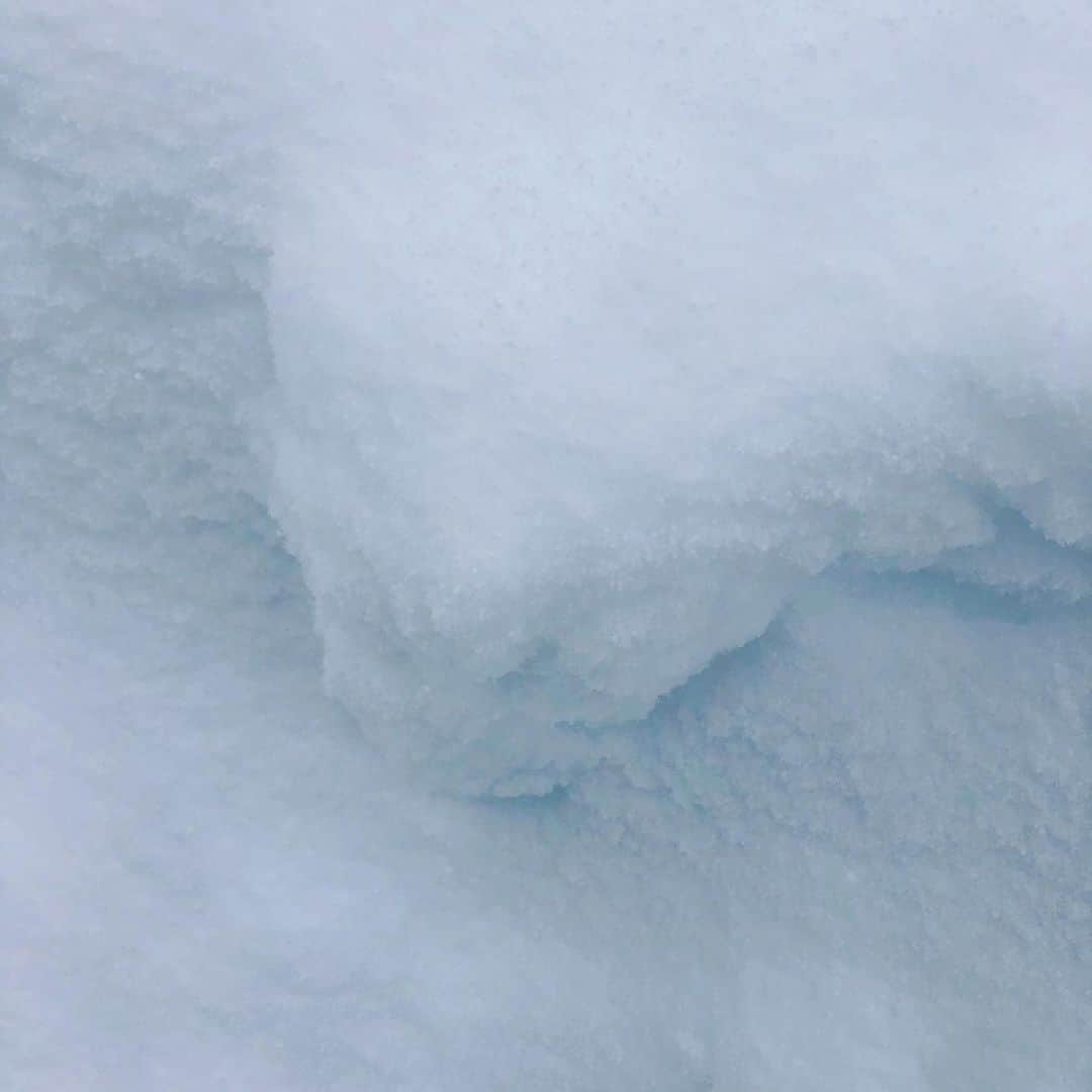 長州力のインスタグラム：「雪景色  長州力🍙」