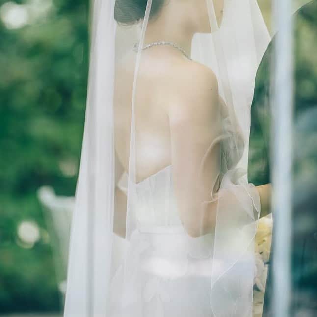 NOVARESE Dress Officialのグルメインスタ