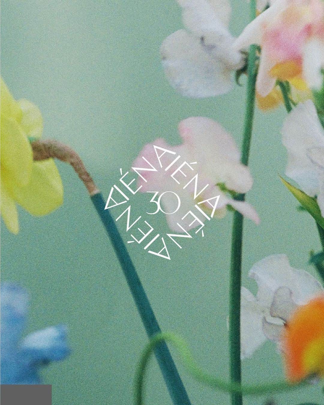 IENAのインスタグラム