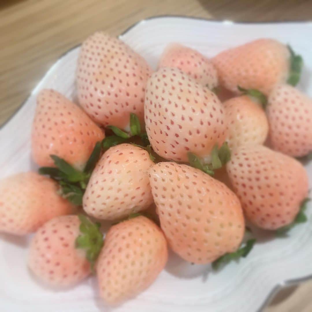 新垣泉子さんのインスタグラム写真 - (新垣泉子Instagram)「白いイチゴ！  #白いイチゴ #初めて食べた #めちゃくちゃ甘くてビックリ #いちご大好き #熊本のいちごでした」2月17日 21時35分 - motoko.arakaki