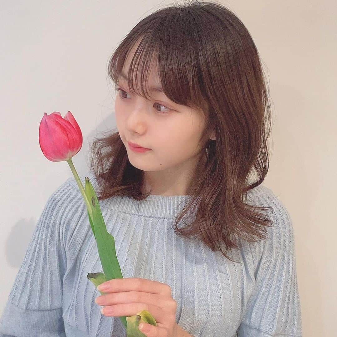 橋本桃呼さんのインスタグラム写真 - (橋本桃呼Instagram)「🌷Tulip‪𓂃 𓈒𓏸໒꒱ 2.17  家に飾ってあったチューリップ🌷  最近暖かかったから、春が近いなぁって思ってたけど今日とっても寒かったね 🥶🤍  ちなみにピンクのチューリップの花言葉は「誠実な愛」らしいですよ🙈🙈  #日常 #日常の記録 #他撮り #他撮り女子 #チューリップ #followｍe #インスタ女子 #花言葉」2月17日 21時31分 - momoko__3628