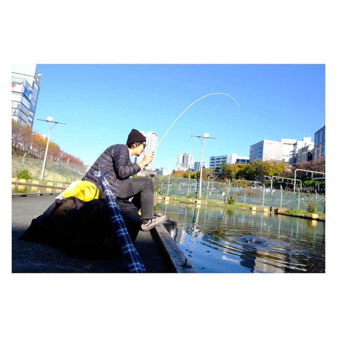 のインスタグラム：「. 東京カープフィッシング。  周りはスーツ着たサラリーマンの歩く姿🚶‍♂️  不思議な空間。  出張ついでに ショーちゃんと遊んだ過去pic🌍  またなんか遊びたいね〜😊  Special THX @shota_jenkins_konno   #鯉釣り #キョイ #鯉 #カープフィッシング #釣り堀 #アーバンフィッシング  #都会で釣り  #ええやんかぁ」