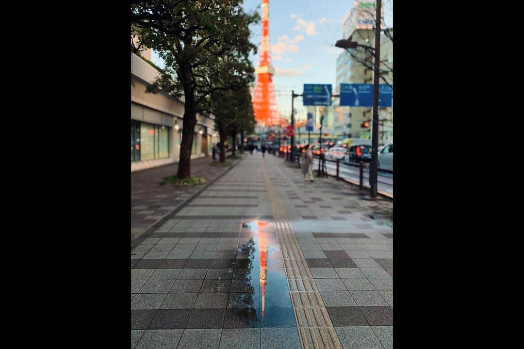 志田光さんのインスタグラム写真 - (志田光Instagram)「Japan is beautiful. . #nicond5300 #iPhoneXS #Japanese #BeautifulJapan #camera #カメラ女子 #hikarushida」2月17日 21時48分 - shidahikaru