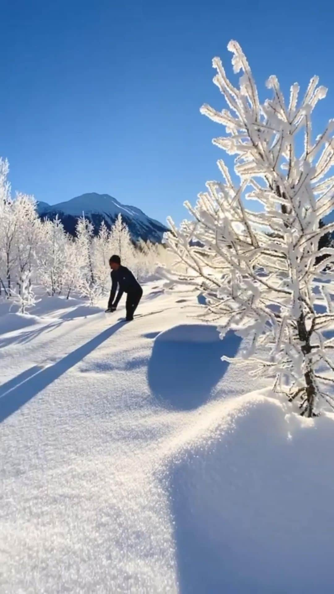 Canon Photographyのインスタグラム：「The amazing Mpemba effect ❄️ Reel by // @federico.sette Curated by @steffeneisenacher  #mpembaeffect #snow #switzerland #winterwonderland #freezing」