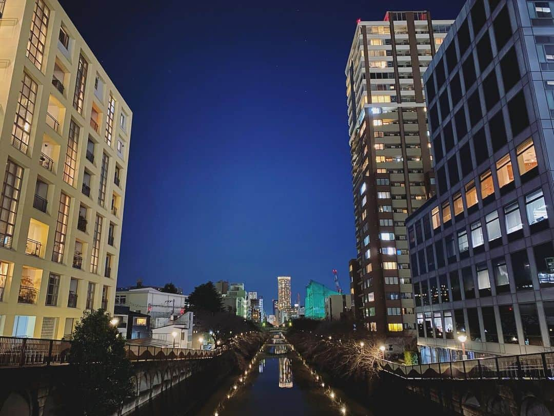 石川龍さんのインスタグラム写真 - (石川龍Instagram)「目黒川、早いものでもうすぐ桜の季節だなぁ。  #目黒川」2月17日 22時55分 - slow_night