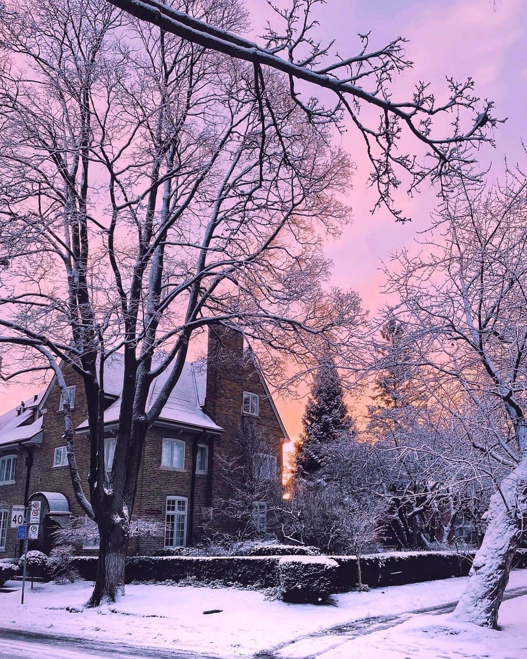 kaelのインスタグラム：「Still winter ❄️」
