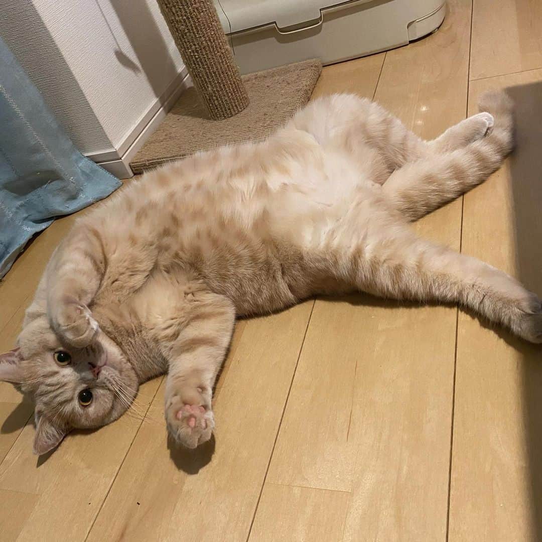のインスタグラム：「りらーーーーっくす」